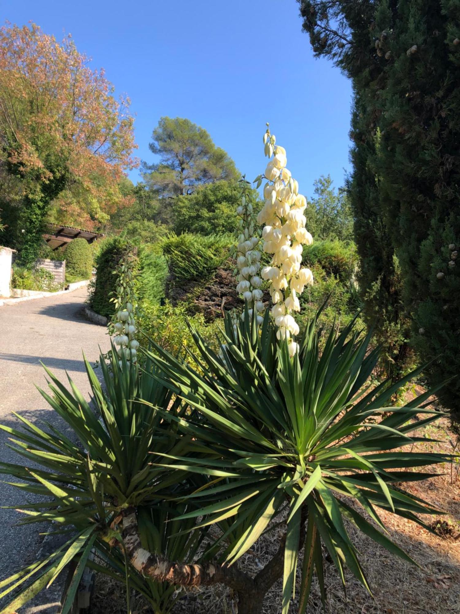 Villa Domaine Double D Cagnes-sur-Mer Exterior foto